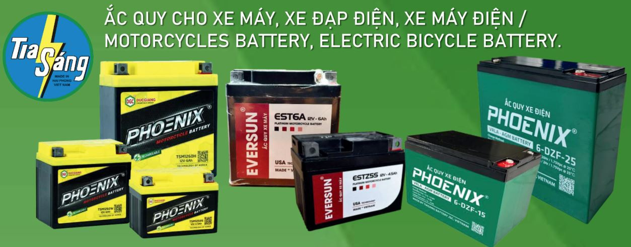 Ắc quy cho xe máy, xe đạp điện, xe máy điện (Motorcycles Battery, Electric Bicycle Battery).